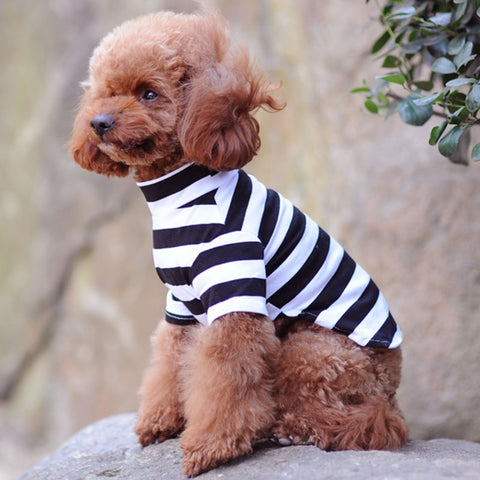 Image of Cotton Dog Shirt Pet