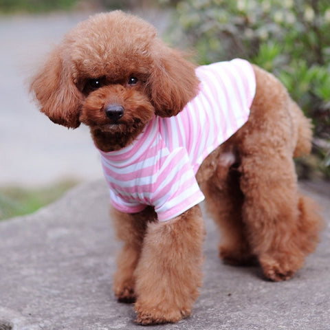 Image of Cotton Dog Shirt Pet
