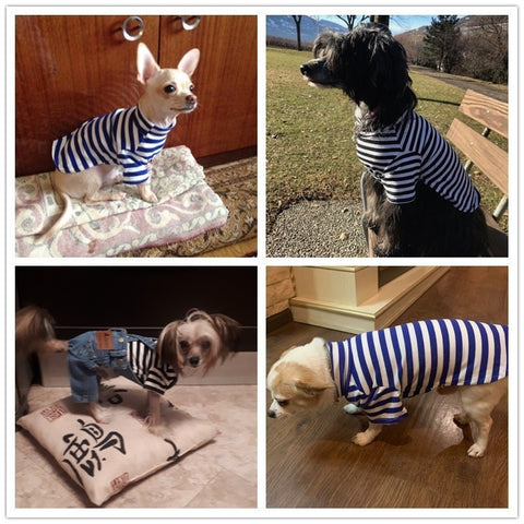 Image of Cotton Dog Shirt Pet