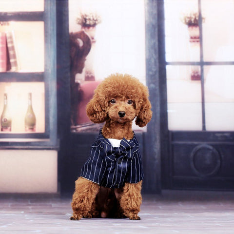 Image of Wedding Tuxedo Suit With Bow Tie