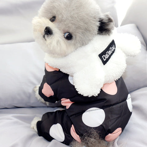 Image of Polka Dot Cotton Coat