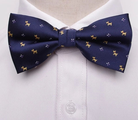 Image of Men formal bow