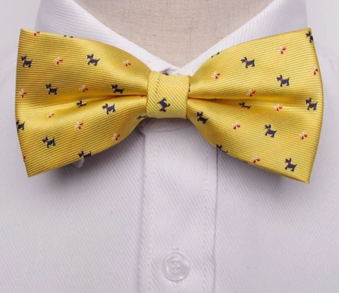 Image of Men formal bow