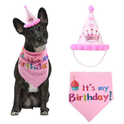 Image of Pet Cat Dogs Caps Birthday