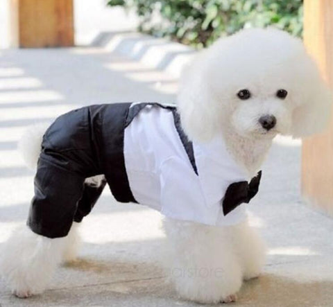 Dog Jumpsuit with Bow Tie