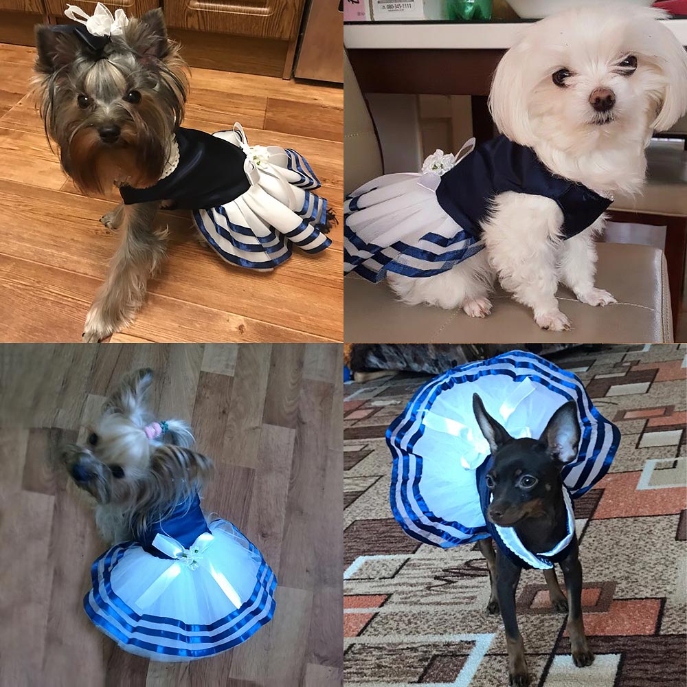 Tutu Lace Sailor Dog Dresses