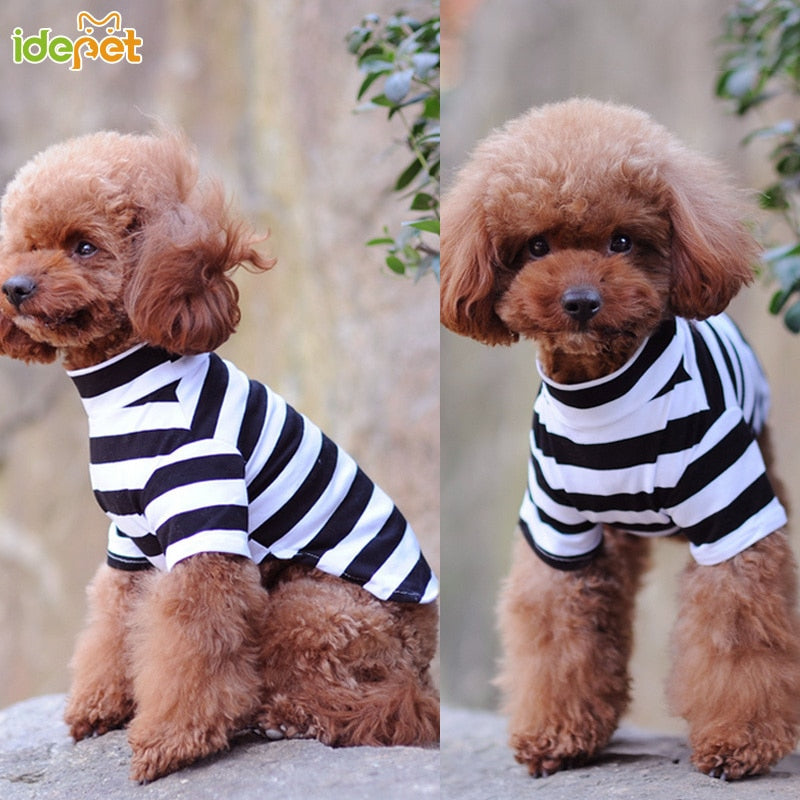 Cotton Dog Shirt Pet