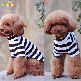Cotton Dog Shirt Pet