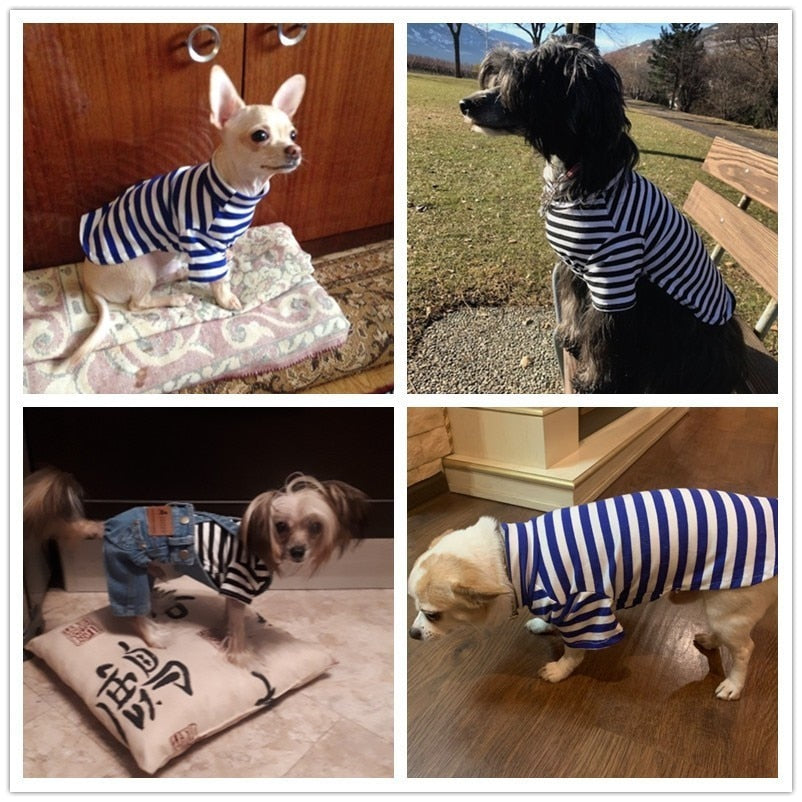 Cotton Dog Shirt Pet