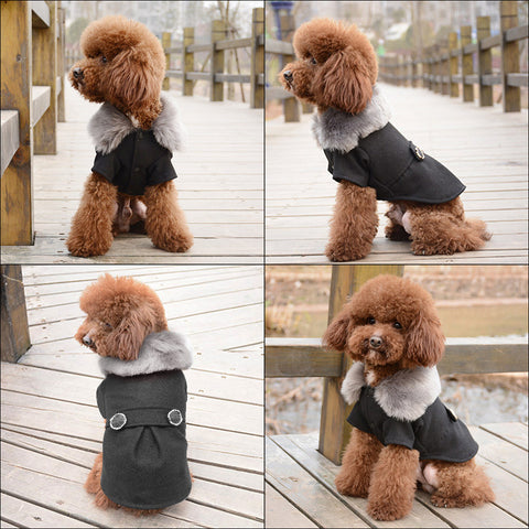 Winter Coats for Small Medium Dogs