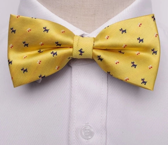 Men formal bow